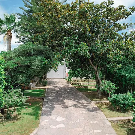 Yliana Agios Vasilios (Peloponnese)