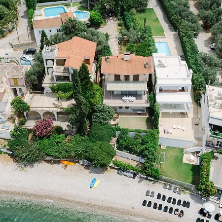 Yliana * Agios Vasilios (Peloponnese)