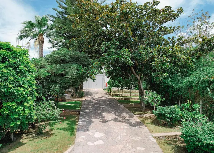 Yliana Agios Vasilios (Peloponnese)